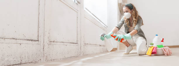 Best Mold Damage Restoration  in Soddy Daisy, TN